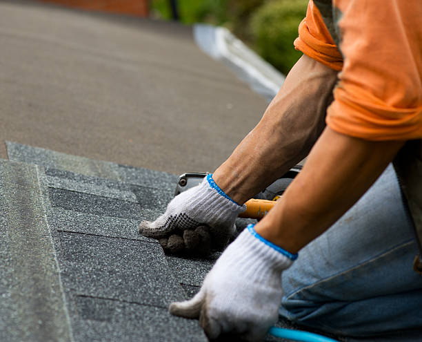Quick and Trustworthy Emergency Roof Repair Services in Beltsville, MD